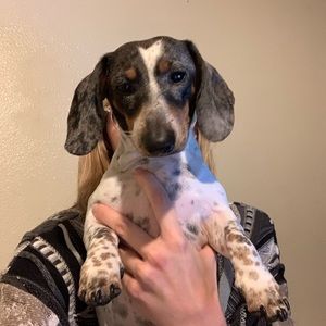 Meet your Posher, Kendra